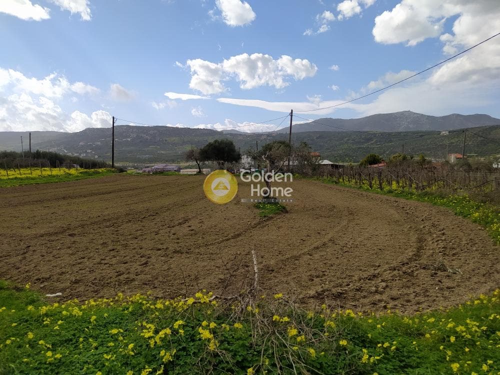 Parcel in Mirtia, Episkopi — Photo 3 of 7