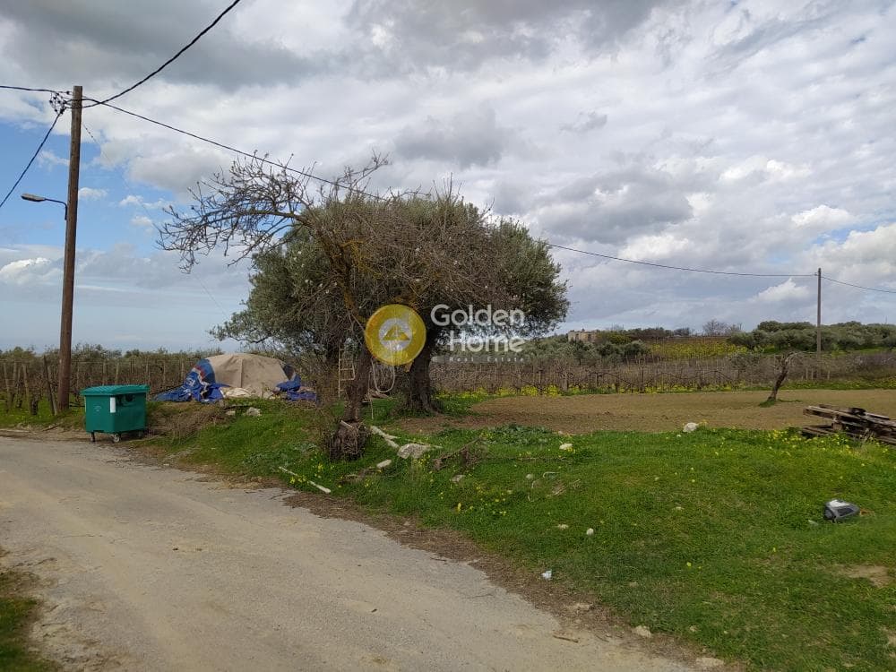 Parcel in Mirtia, Episkopi — Photo 4 of 7