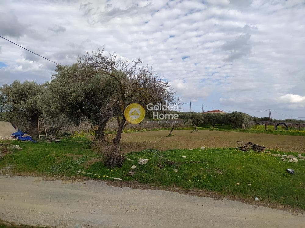 Parcel in Mirtia, Episkopi — Photo 5 of 7