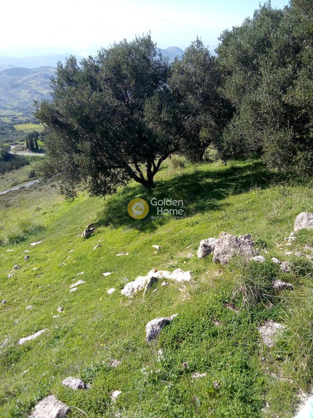 Αγροτεμάχιο στην Βαθύπετρο, Αρχάνες — Φωτογραφία 1 από 2