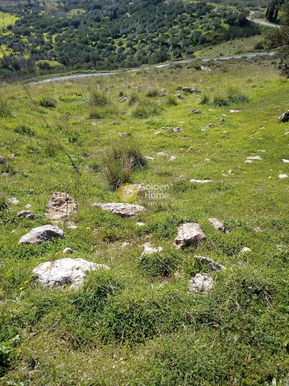 Αγροτεμάχιο στην Βαθύπετρο, Αρχάνες — Φωτογραφία 2 από 2