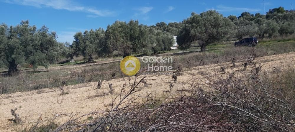 Parcel in Neapoli, Spata — Photo 9 of 13
