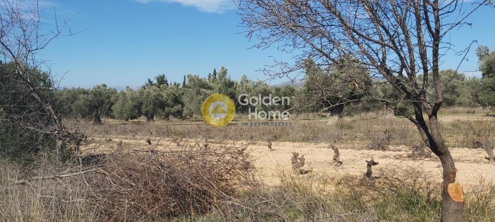 Parcel in Neapoli, Spata — Photo 12 of 13