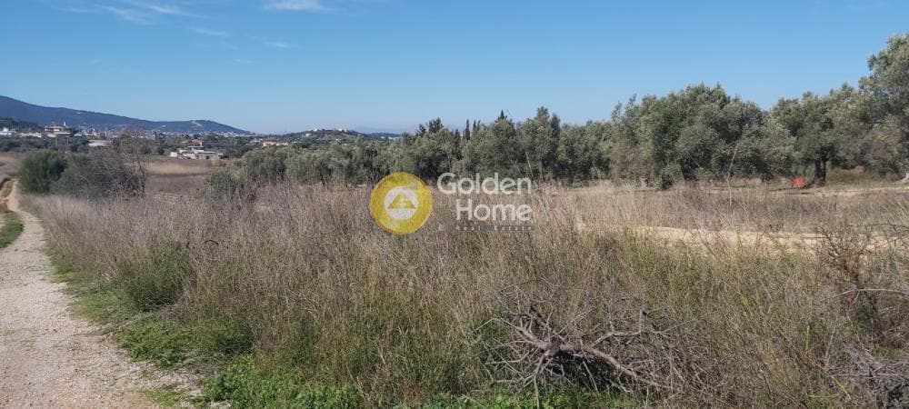 Parcel in Neapoli, Spata — Photo 13 of 13