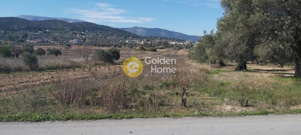 Parcel in Neapoli, Spata — Photo 1 of 13