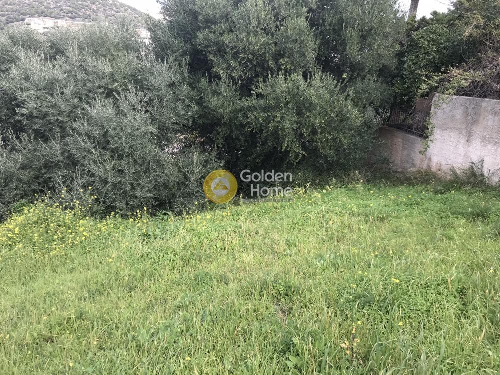Οικόπεδο στην Μαύρο Λιθάρι, Σαρωνίδα — Φωτογραφία 3 από 13