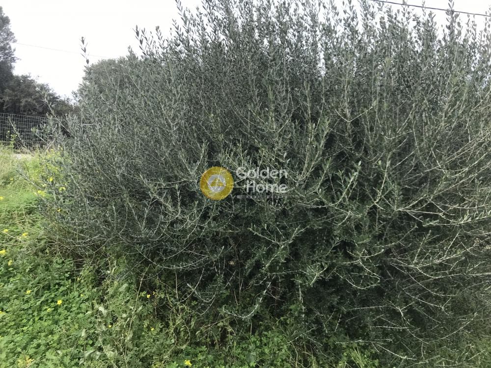 Οικόπεδο στην Μαύρο Λιθάρι, Σαρωνίδα — Φωτογραφία 6 από 13