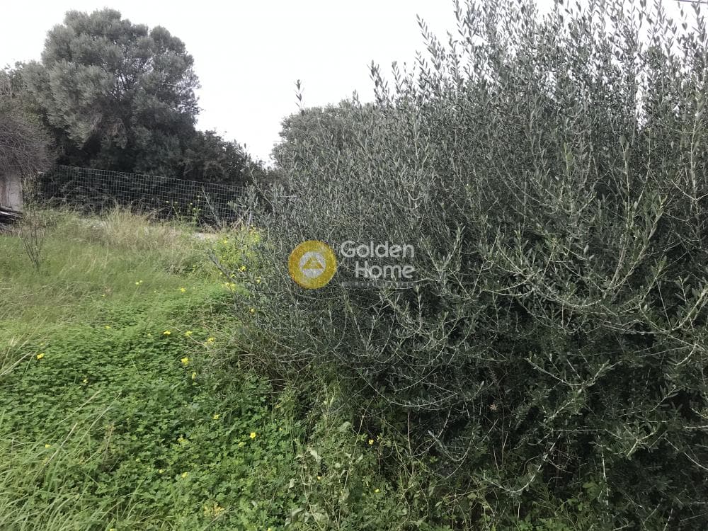 Οικόπεδο στην Μαύρο Λιθάρι, Σαρωνίδα — Φωτογραφία 8 από 13