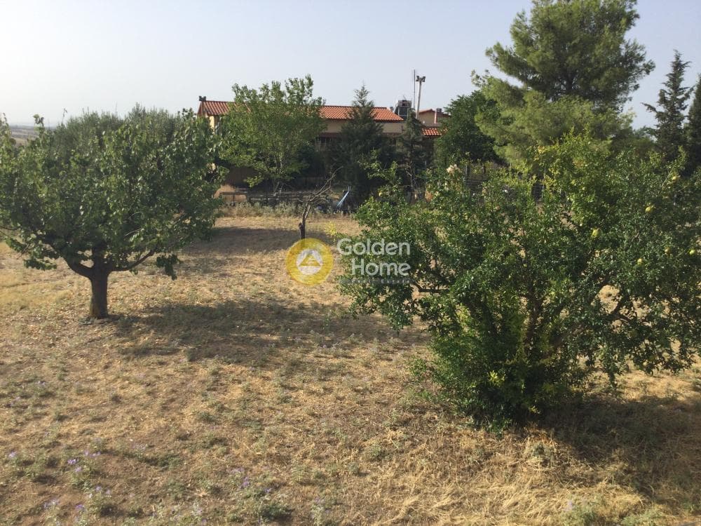 Μονοκατοικία στην Ροδόκηπος, Καλλικράτεια — Φωτογραφία 19 από 26