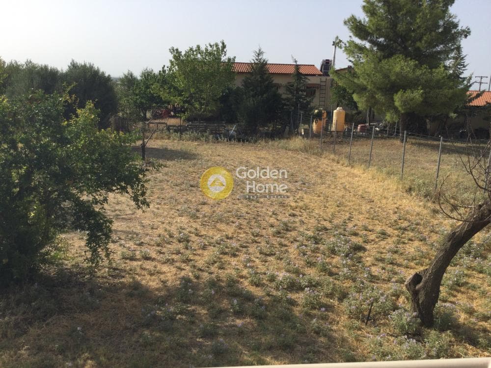 Μονοκατοικία στην Ροδόκηπος, Καλλικράτεια — Φωτογραφία 22 από 26