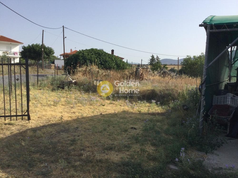 Μονοκατοικία στην Ροδόκηπος, Καλλικράτεια — Φωτογραφία 26 από 26
