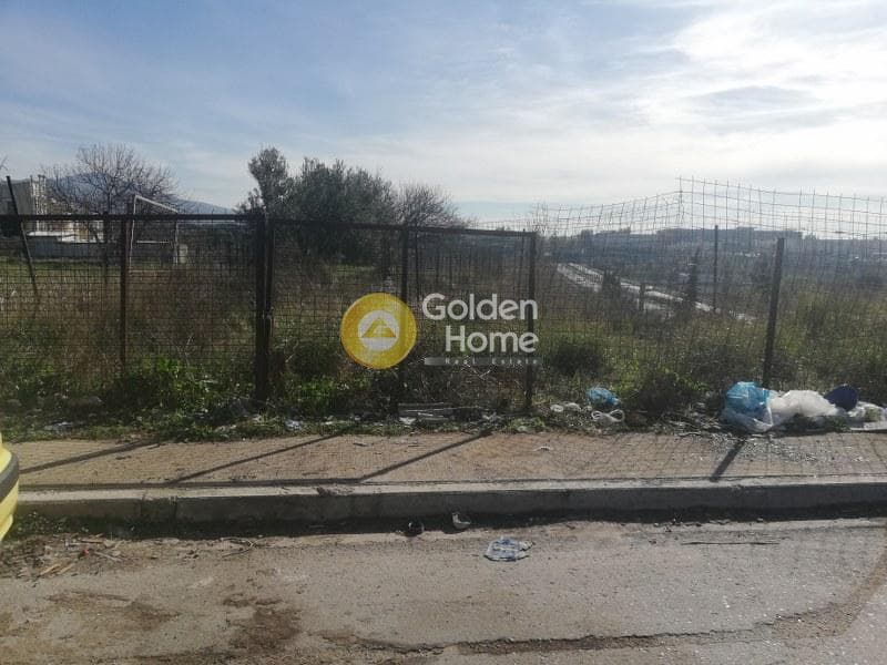 Αγροτεμάχιο στην Αδάμες (Οικισμός Γράμμος - Φοίνικας), Κηφισιά — Φωτογραφία 3 από 3