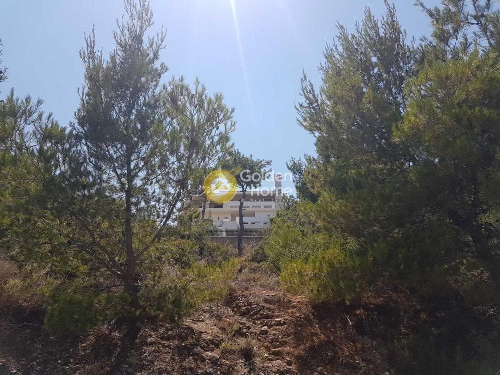 Building Plot in Kalitexnoupoli, Rafina — Photo 6 of 9