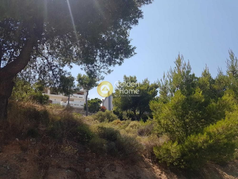 Building Plot in Kalitexnoupoli, Rafina — Photo 9 of 9