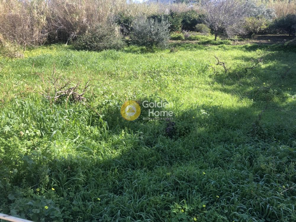 Parcel in Paroikia, Paros — Photo 1 of 9