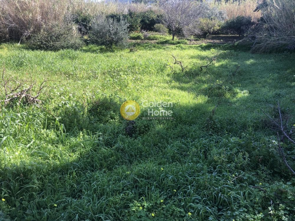 Parcel in Paroikia, Paros — Photo 3 of 9