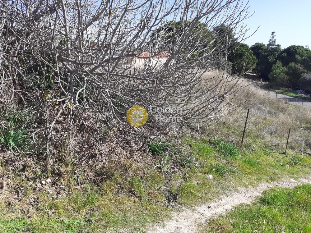 Οικόπεδο στην Άνω Μπαλάνα, Παλλήνη — Φωτογραφία 2 από 4