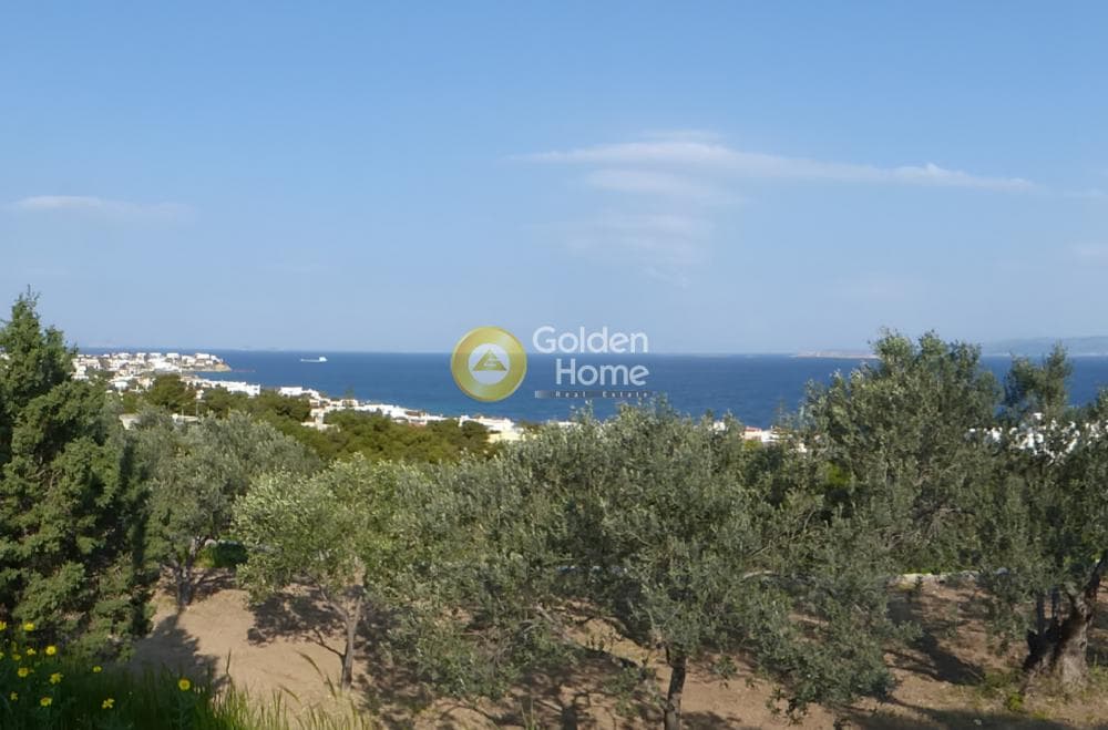 Building Plot in Therma, Aegina — Photo 1 of 8