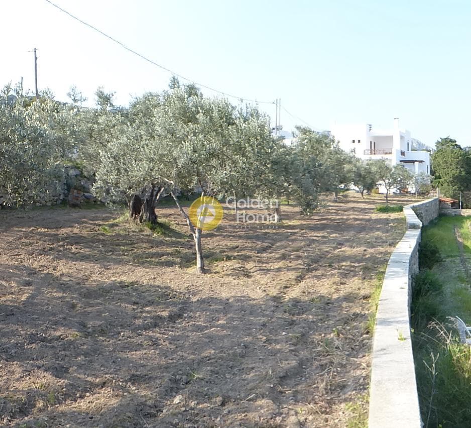 Building Plot in Therma, Aegina — Photo 6 of 8