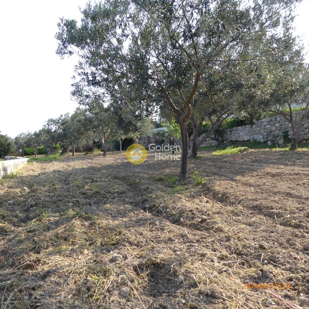 Building Plot in Therma, Aegina — Photo 7 of 8