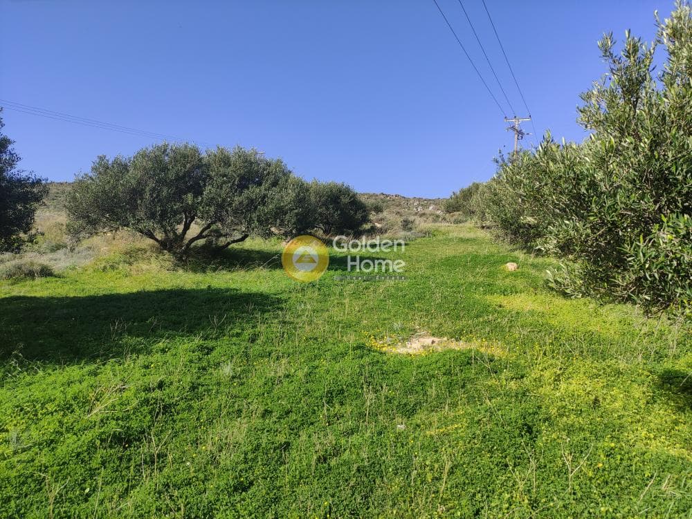 Building Plot in Vatheianos Kampos, Gouves — Photo 4 of 7