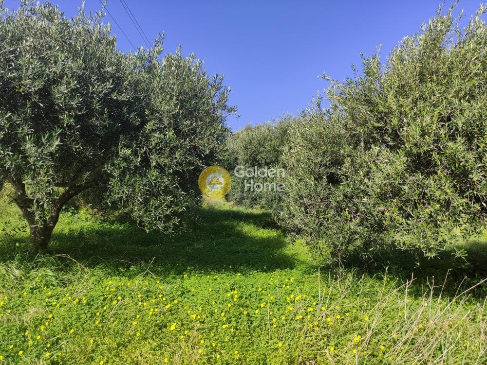 Building Plot in Vatheianos Kampos, Gouves — Photo 7 of 7
