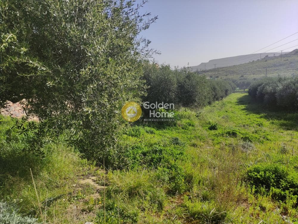 Building Plot in Vatheianos Kampos, Gouves — Photo 5 of 7
