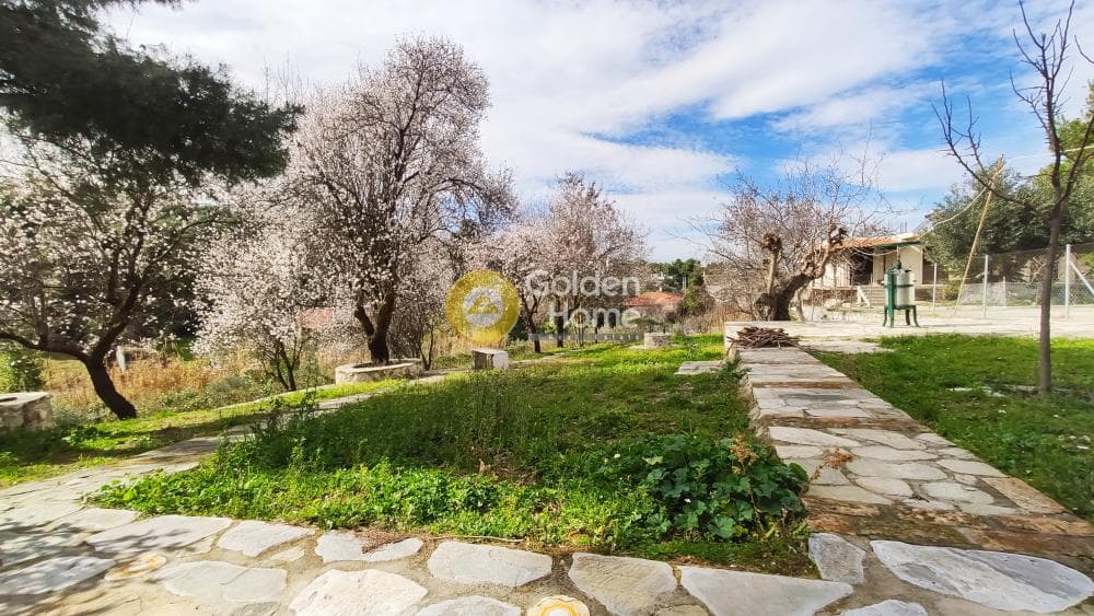 Building Plot in Rodopoli, Rodopoli — Photo 1 of 26