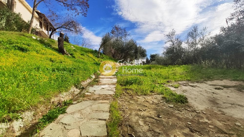 Building Plot in Rodopoli, Rodopoli — Photo 2 of 26