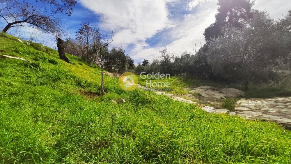 Building Plot in Rodopoli, Rodopoli — Photo 4 of 26