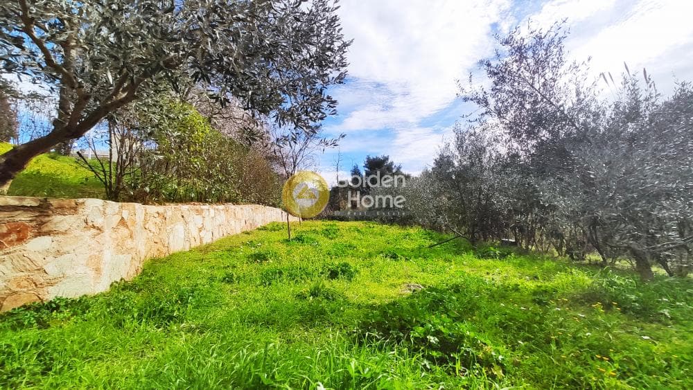 Building Plot in Rodopoli, Rodopoli — Photo 5 of 26