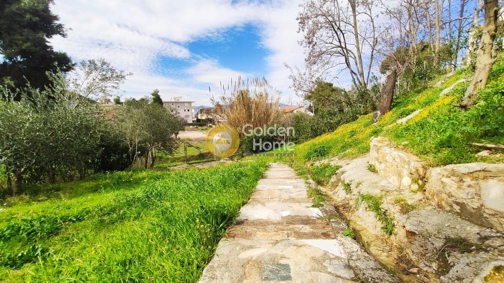 Building Plot in Rodopoli, Rodopoli — Photo 6 of 26