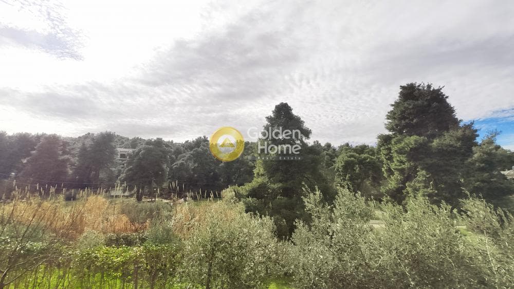 Building Plot in Rodopoli, Rodopoli — Photo 7 of 26
