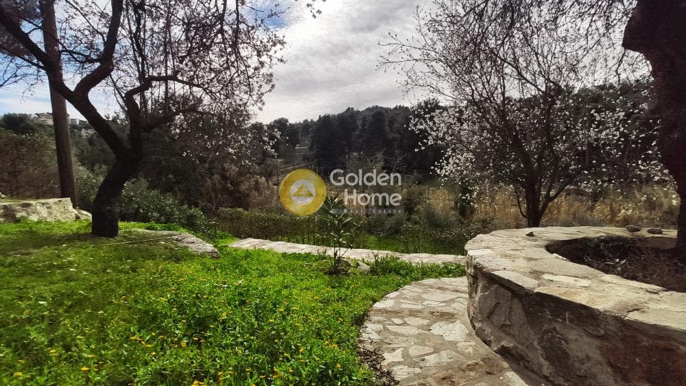 Building Plot in Rodopoli, Rodopoli — Photo 8 of 26