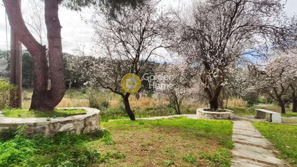 Building Plot in Rodopoli, Rodopoli — Photo 10 of 26