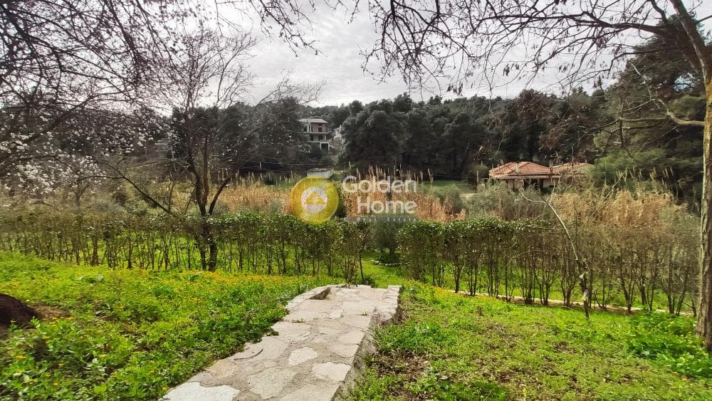 Building Plot in Rodopoli, Rodopoli — Photo 11 of 26