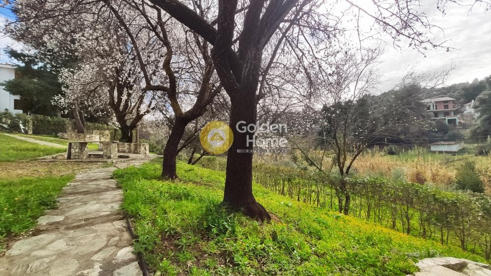 Building Plot in Rodopoli, Rodopoli — Photo 12 of 26