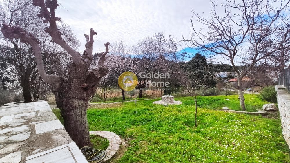 Building Plot in Rodopoli, Rodopoli — Photo 13 of 26