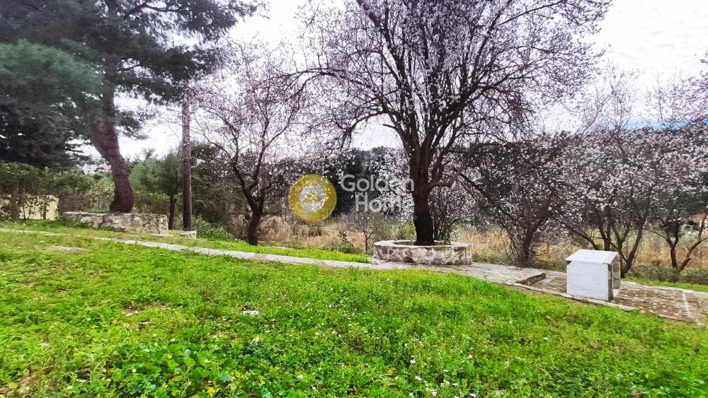 Building Plot in Rodopoli, Rodopoli — Photo 14 of 26