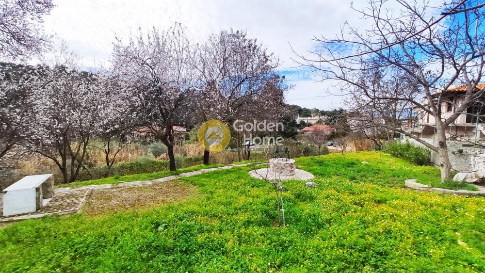 Building Plot in Rodopoli, Rodopoli — Photo 16 of 26