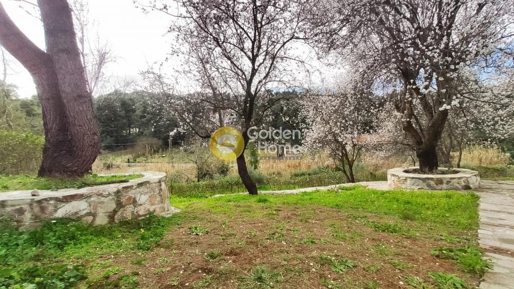 Building Plot in Rodopoli, Rodopoli — Photo 17 of 26