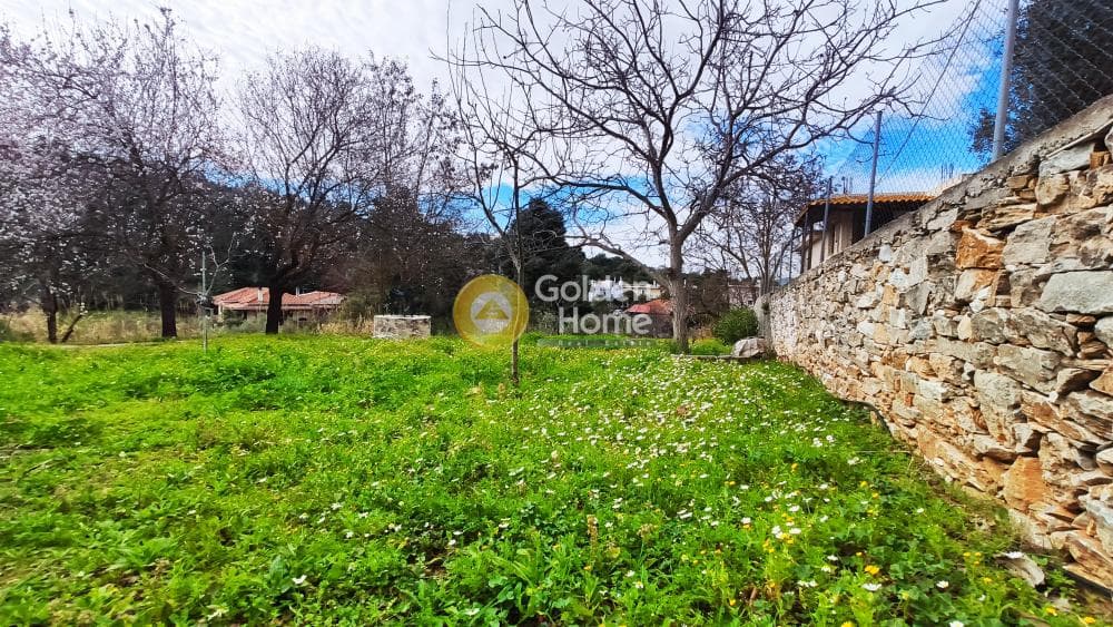 Building Plot in Rodopoli, Rodopoli — Photo 18 of 26