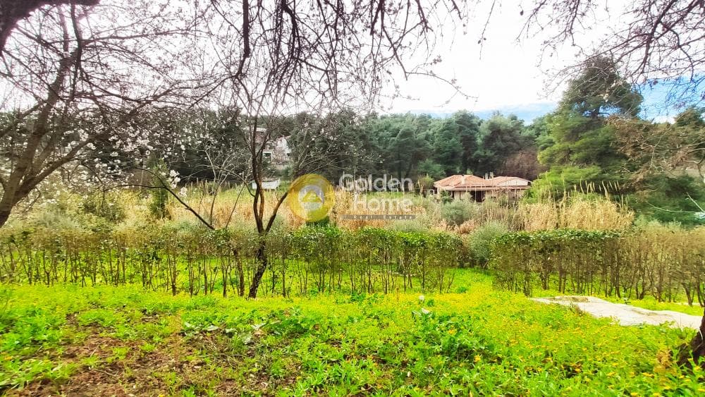 Building Plot in Rodopoli, Rodopoli — Photo 20 of 26