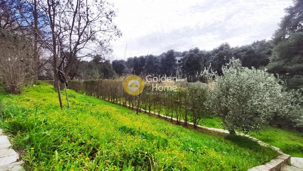 Building Plot in Rodopoli, Rodopoli — Photo 21 of 26