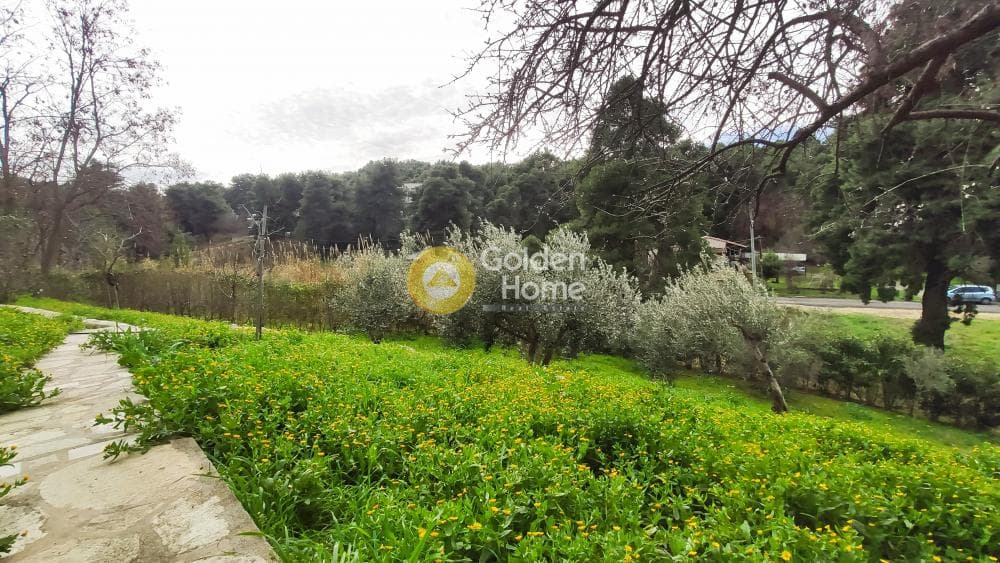 Building Plot in Rodopoli, Rodopoli — Photo 22 of 26