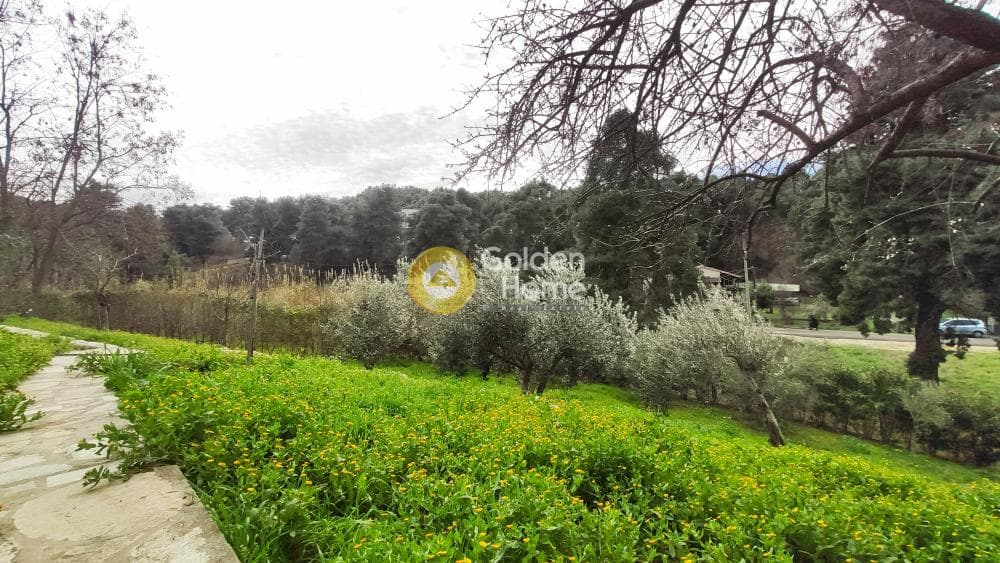 Building Plot in Rodopoli, Rodopoli — Photo 23 of 26