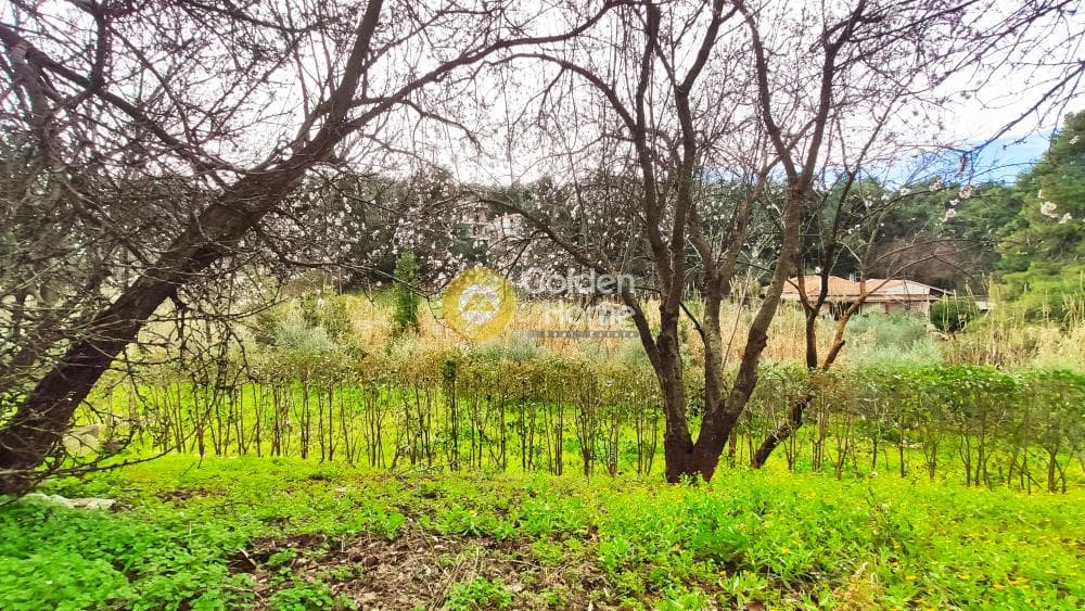 Building Plot in Rodopoli, Rodopoli — Photo 26 of 26