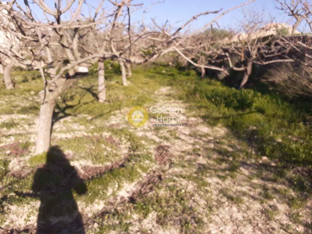 Building Plot in Kipseli, Aegina — Photo 6 of 16