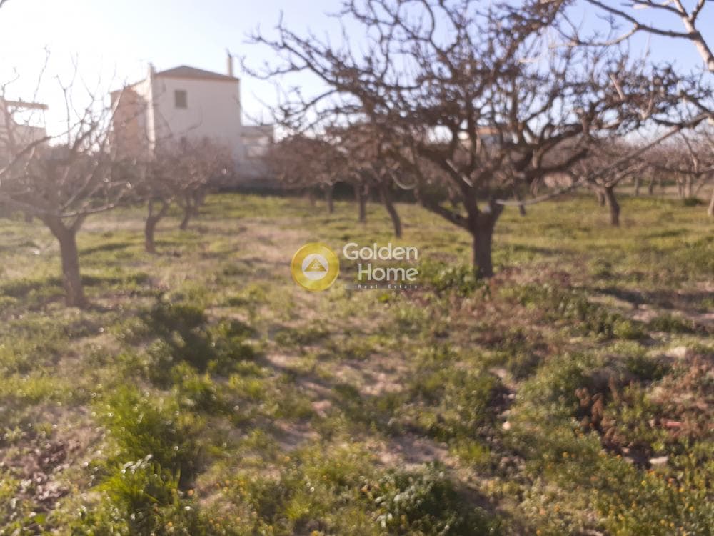 Building Plot in Kipseli, Aegina — Photo 11 of 16