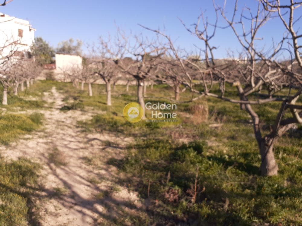 Building Plot in Kipseli, Aegina — Photo 13 of 16